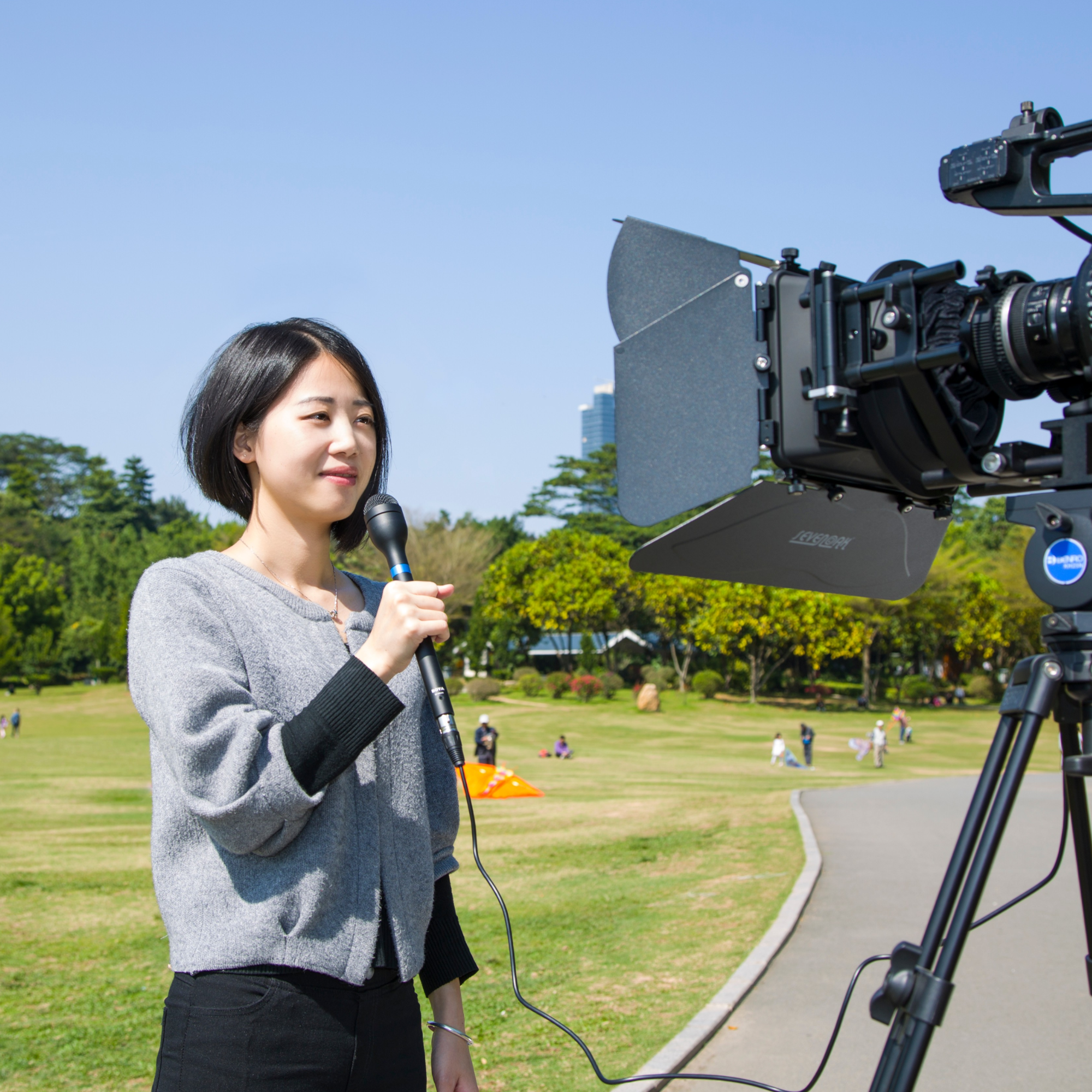 Interview Microphones