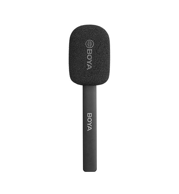 BY-XM6 HM Headset 2.4G Wireless Mic